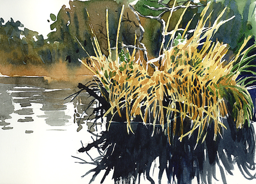 Watercolour painting at Bystock Pool