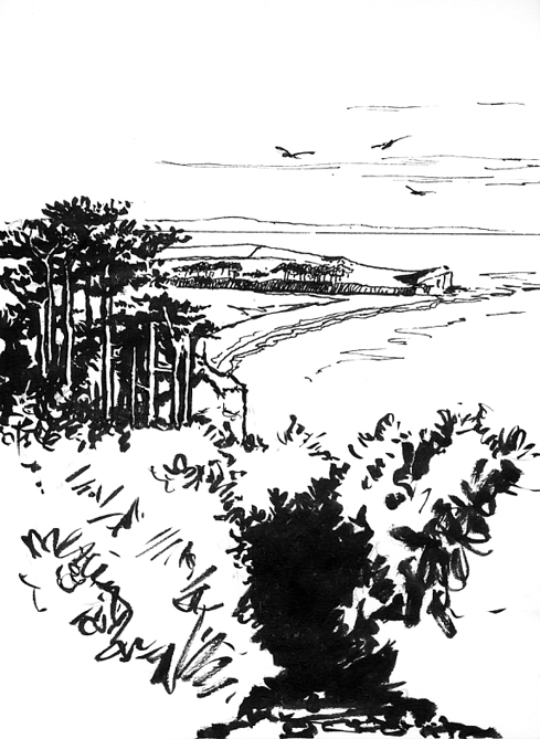 Pen sketch, 'Climbing Up West Down Beacon and looking towards the Otter Estuary.'