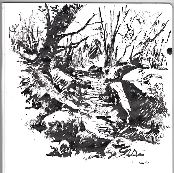 Brush and ink sketch of a Wooded Rocky Path