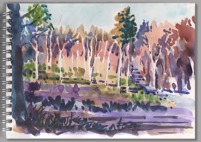 Watercolour sketch of Woodbury Common Woods