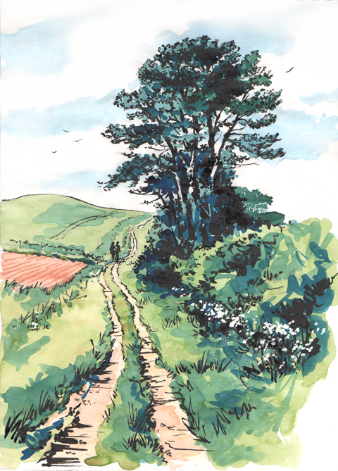 Watercolour and pen sketch the 'Winding Path'