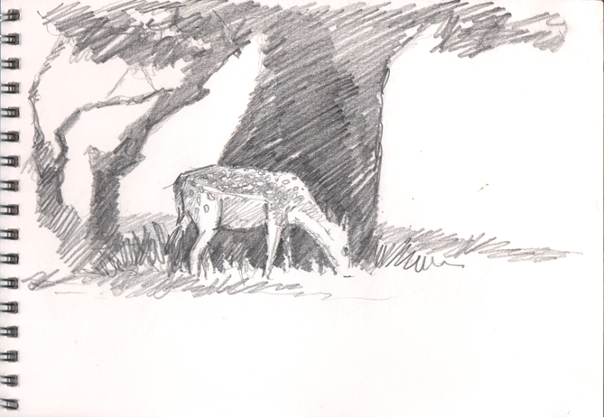Pencil sketch of a Fallow Deer under a tree.