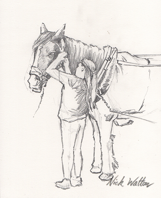 Horse on the Llangollen Canal Pencil sketch of a horse being made ready to tow the boat on the Llangollen Canal. By artist Nick Watton